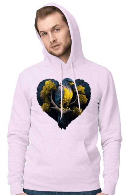 Blue and yellow falcon