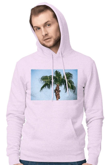 Palm tree against the sky