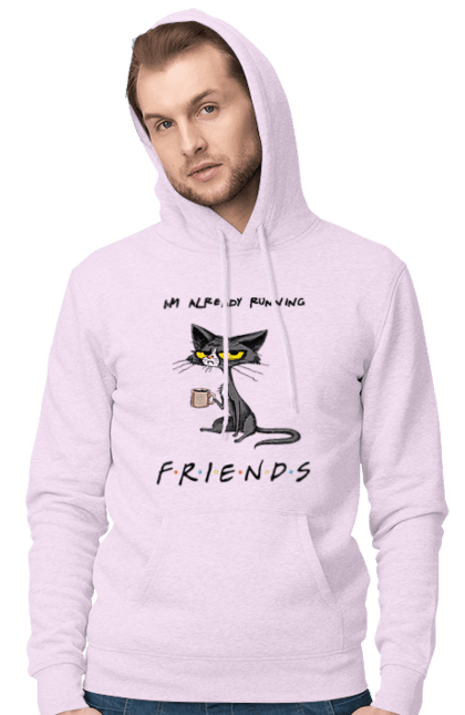 Чоловіче худі з принтом "Друзі, вже біжу". Вже біжу, відвали, друзі, йди нахуй, кіт з чашкою, не вчіть жити, пародія серіал, сам собі друг, самотність сука, серіал кіт. 2070702