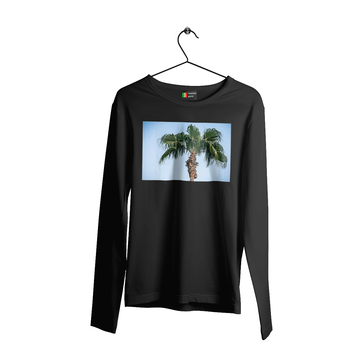 Palm tree against the sky