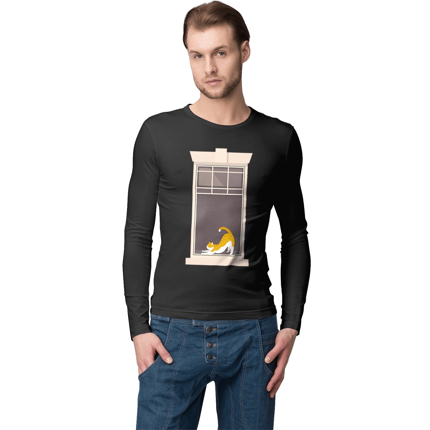 Кіт В Вікні