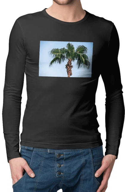 Palm tree against the sky