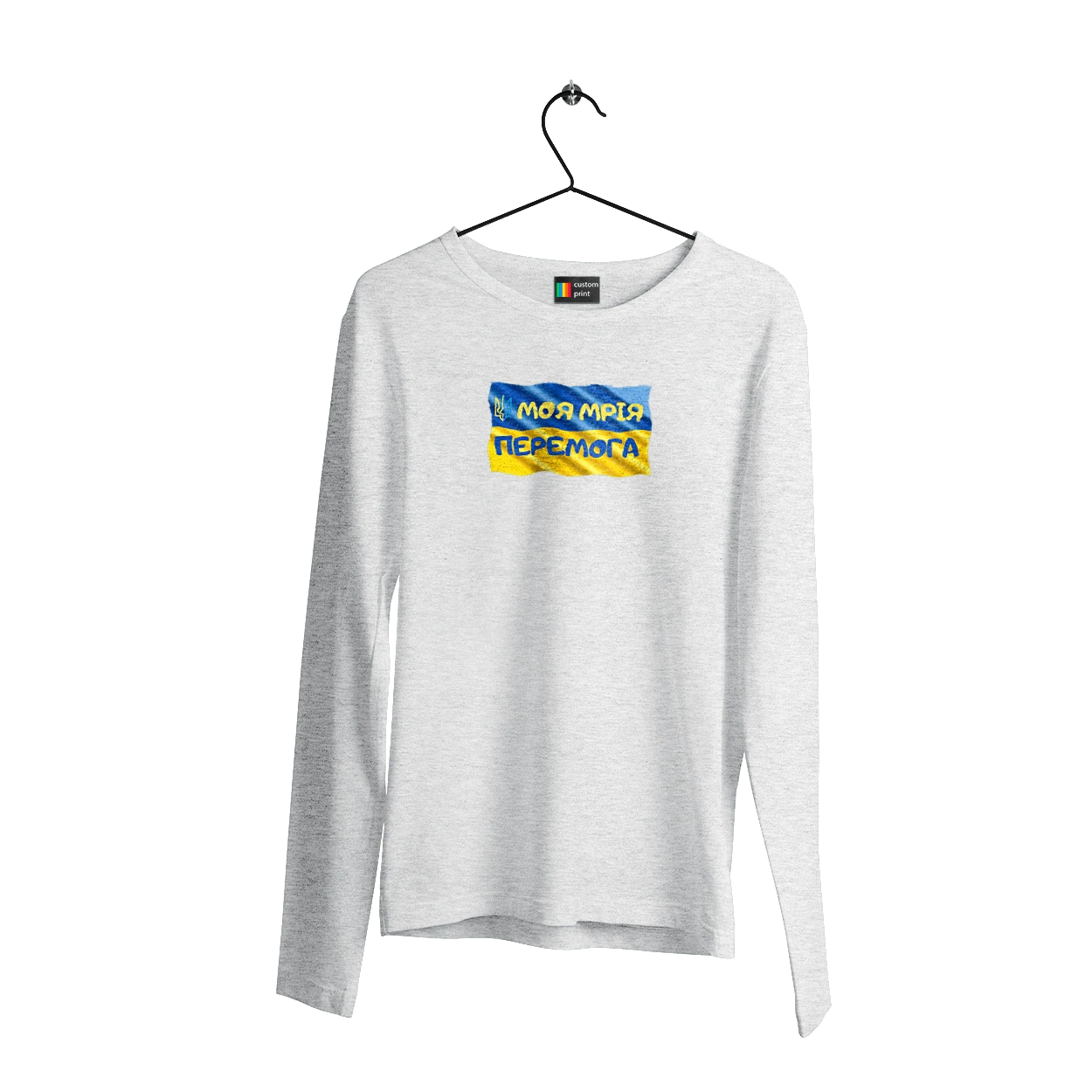 My dream is victory. the flag of Ukraine. Emblem of Ukraine