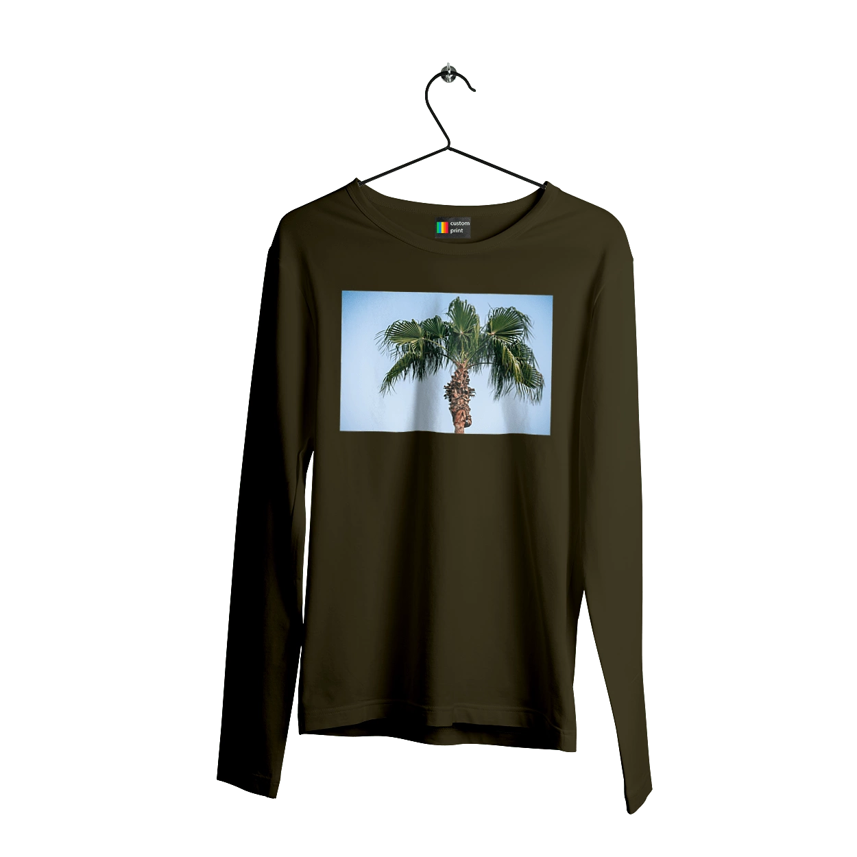 Palm tree against the sky