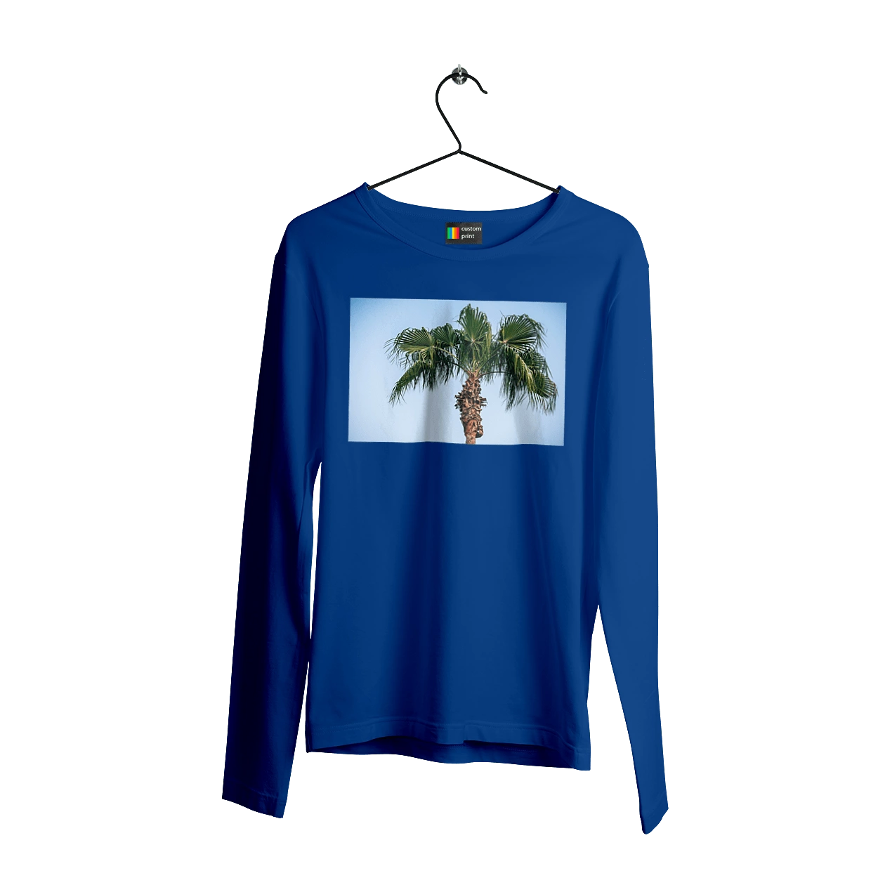 Пальма на тлі неба