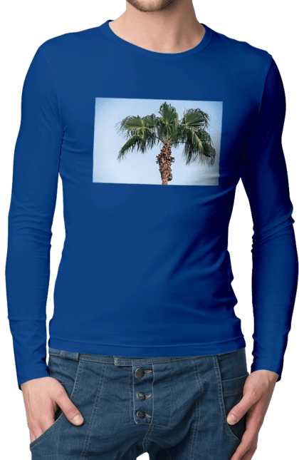 Пальма на тлі неба