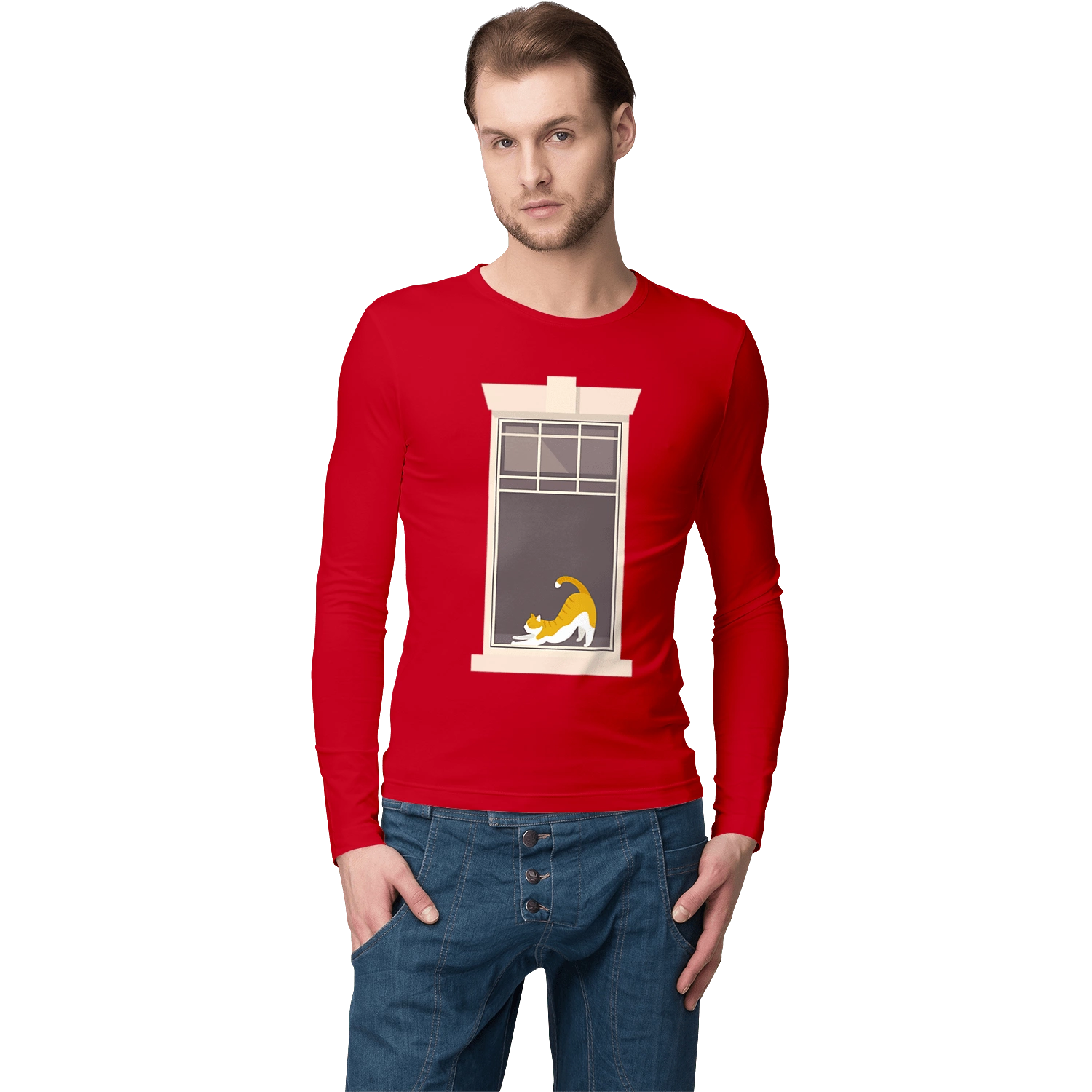 Кіт В Вікні