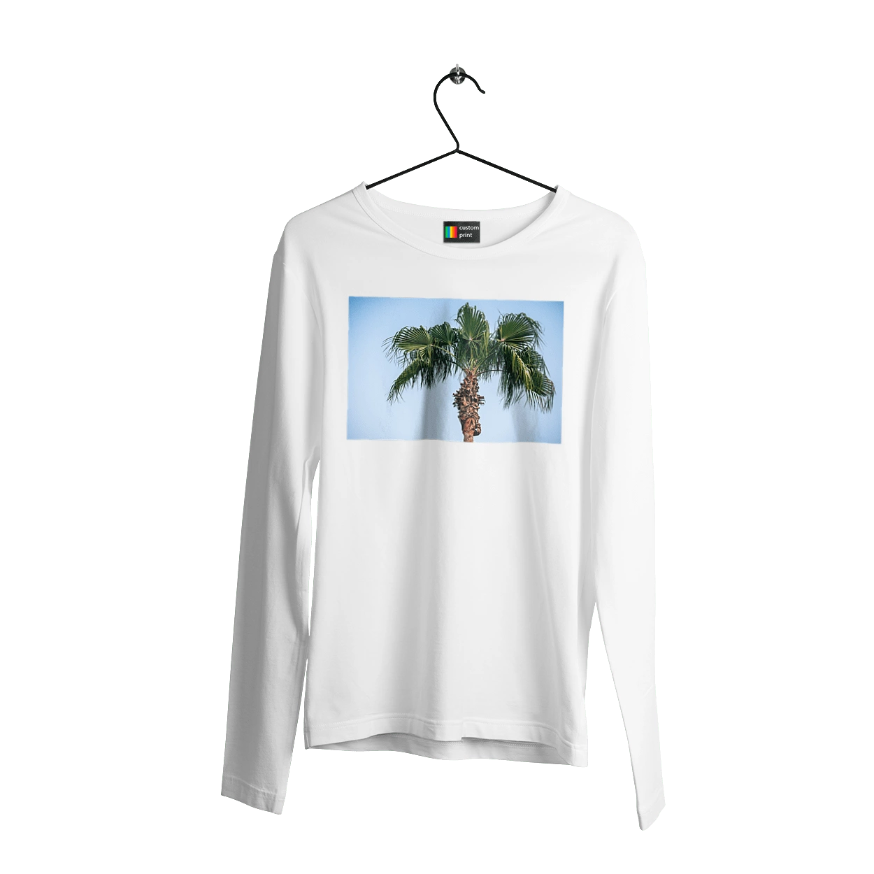 Пальма на тлі неба