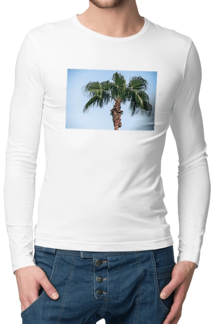 Пальма на тлі неба