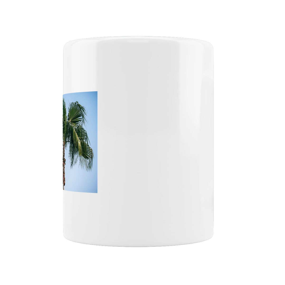 Пальма на тлі неба