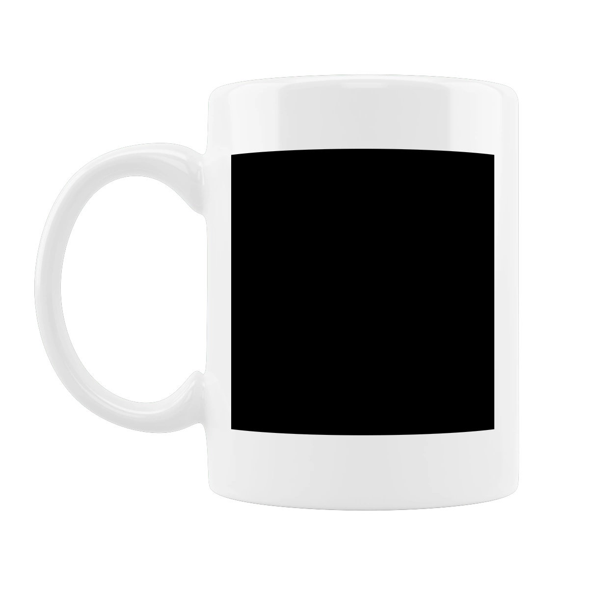 White cat in a swimming circle on vacation