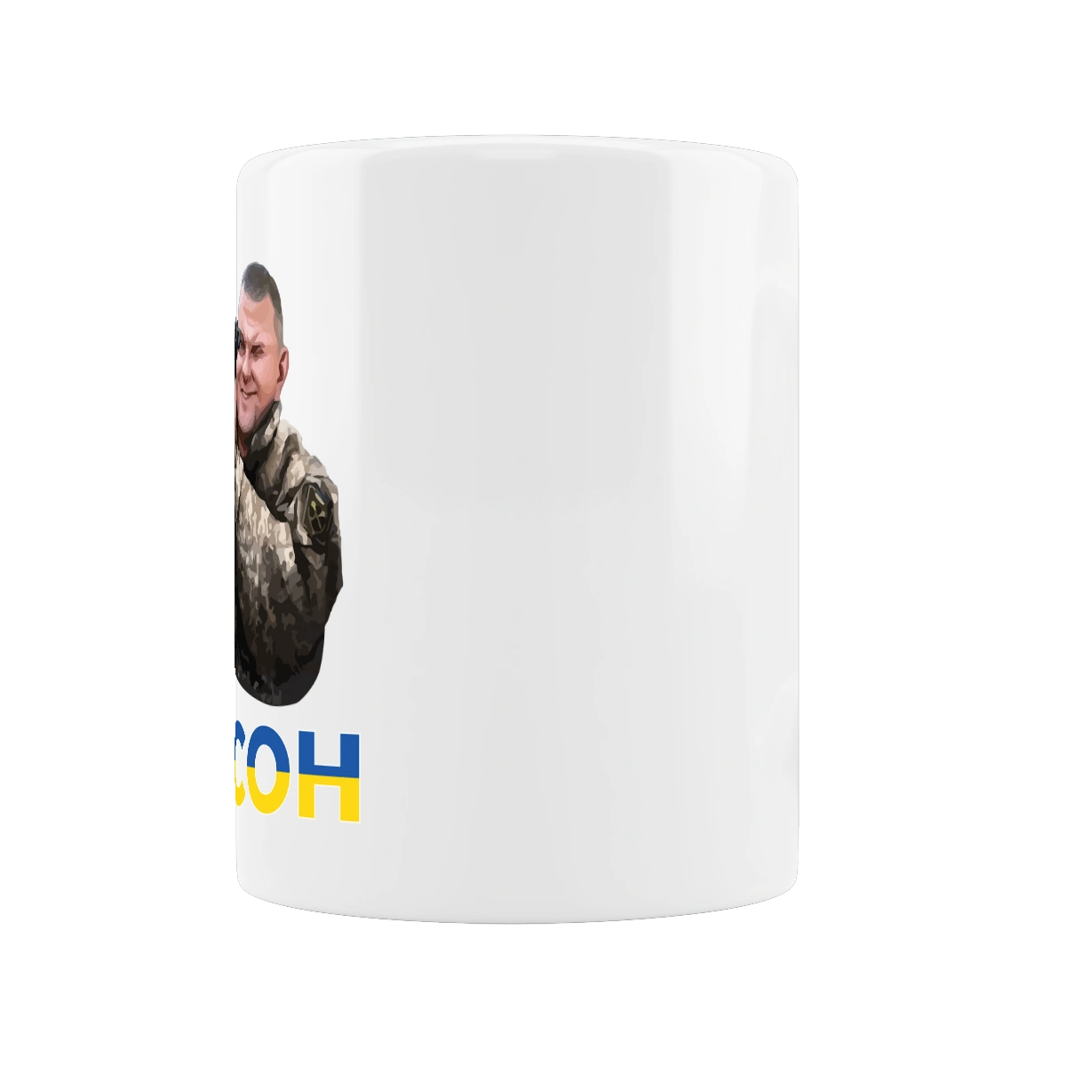 Залужний про Херсон