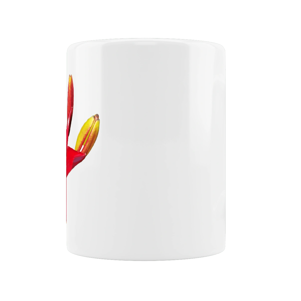 Червона лілія