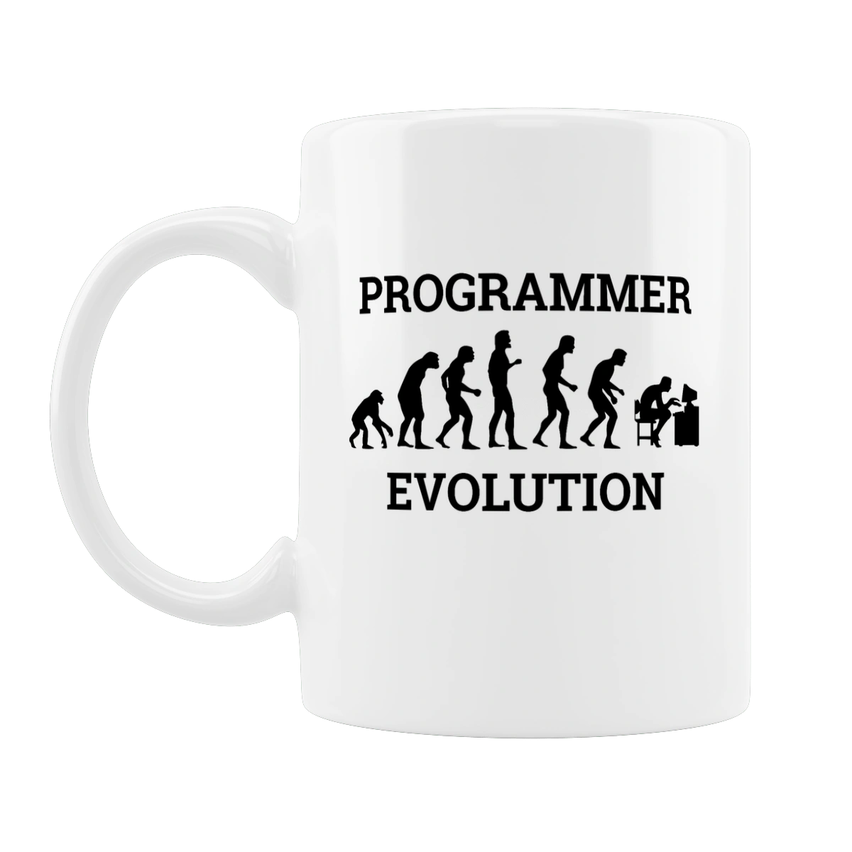 The evolution of the programmer
