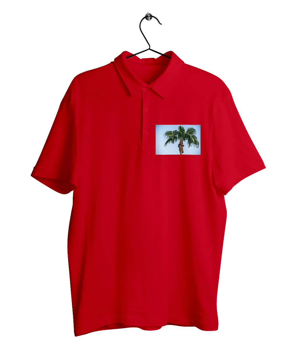 Пальма на тлі неба