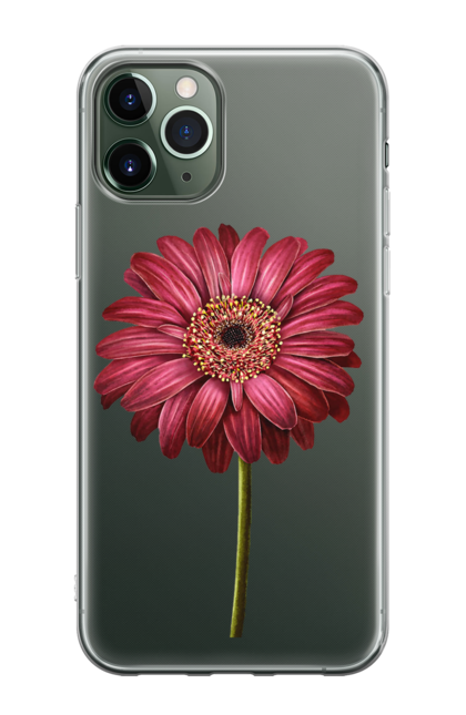 Чохол для телефону з принтом "Квітка Гербера, бордо". Гербера, квіти, квітка, ромашка. CustomPrint.market