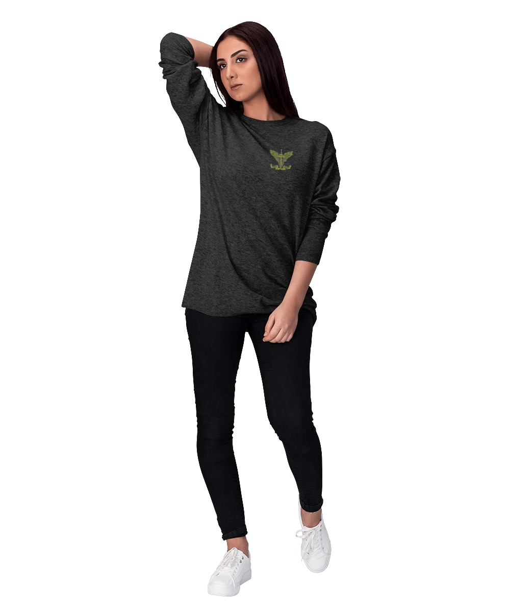 Airborne assault troops of Ukraine