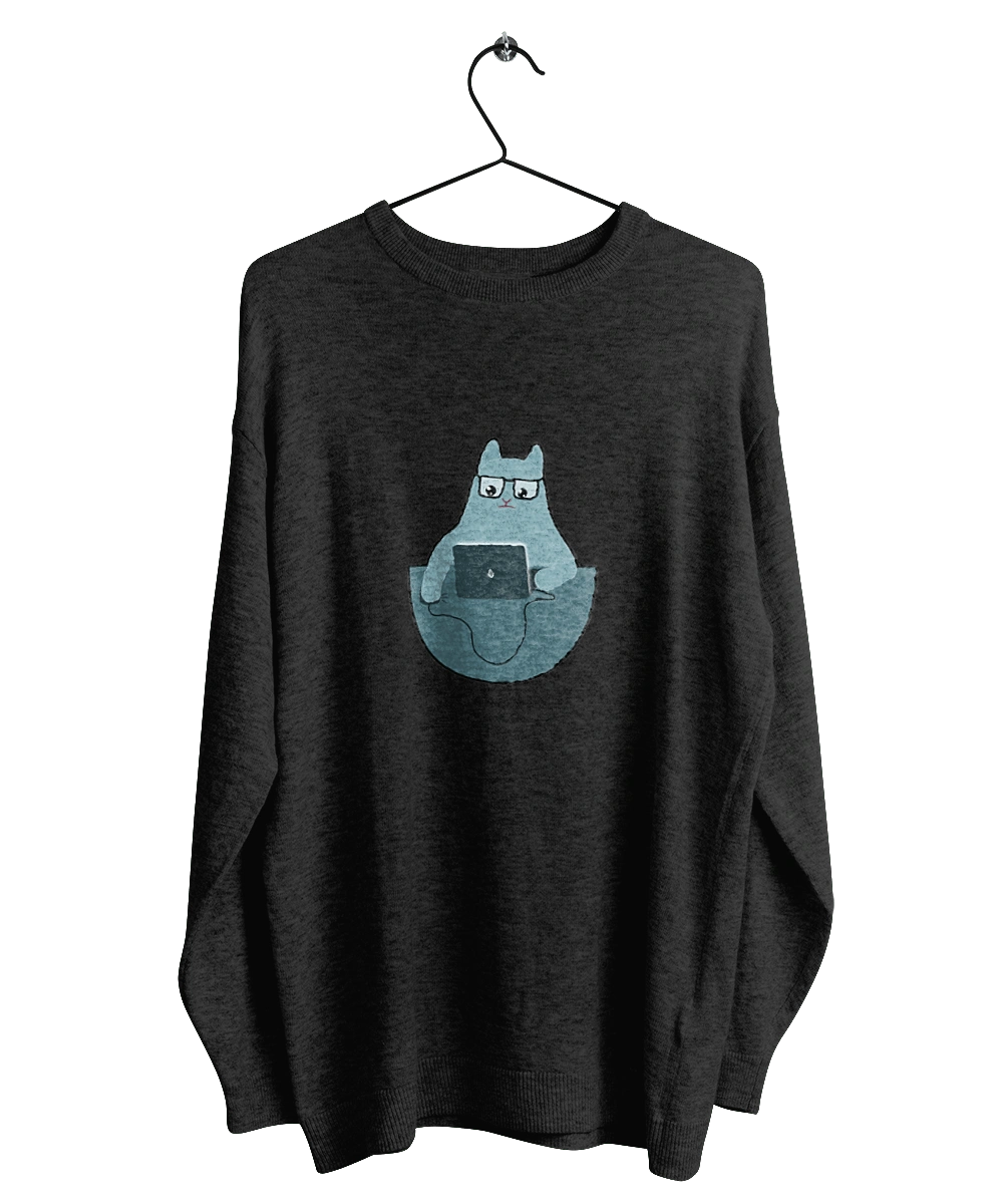 Кот программист