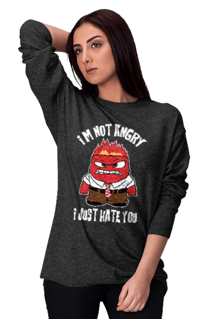 Women's sweatshirt with prints I`m not angry I just hate you. Anger, cool, funny, hate you, hatred, humor, i hate people, i just. CustomPrint.market