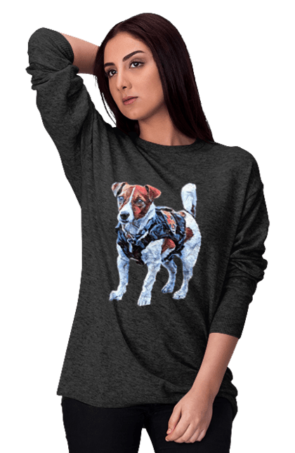 Світшот жіночий з принтом "Пес Патрон". Зсу, патрон, пес, пес патрон, україна. 2070702