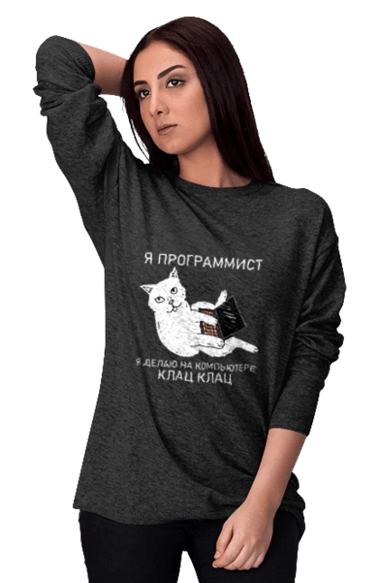 Кіт програміст