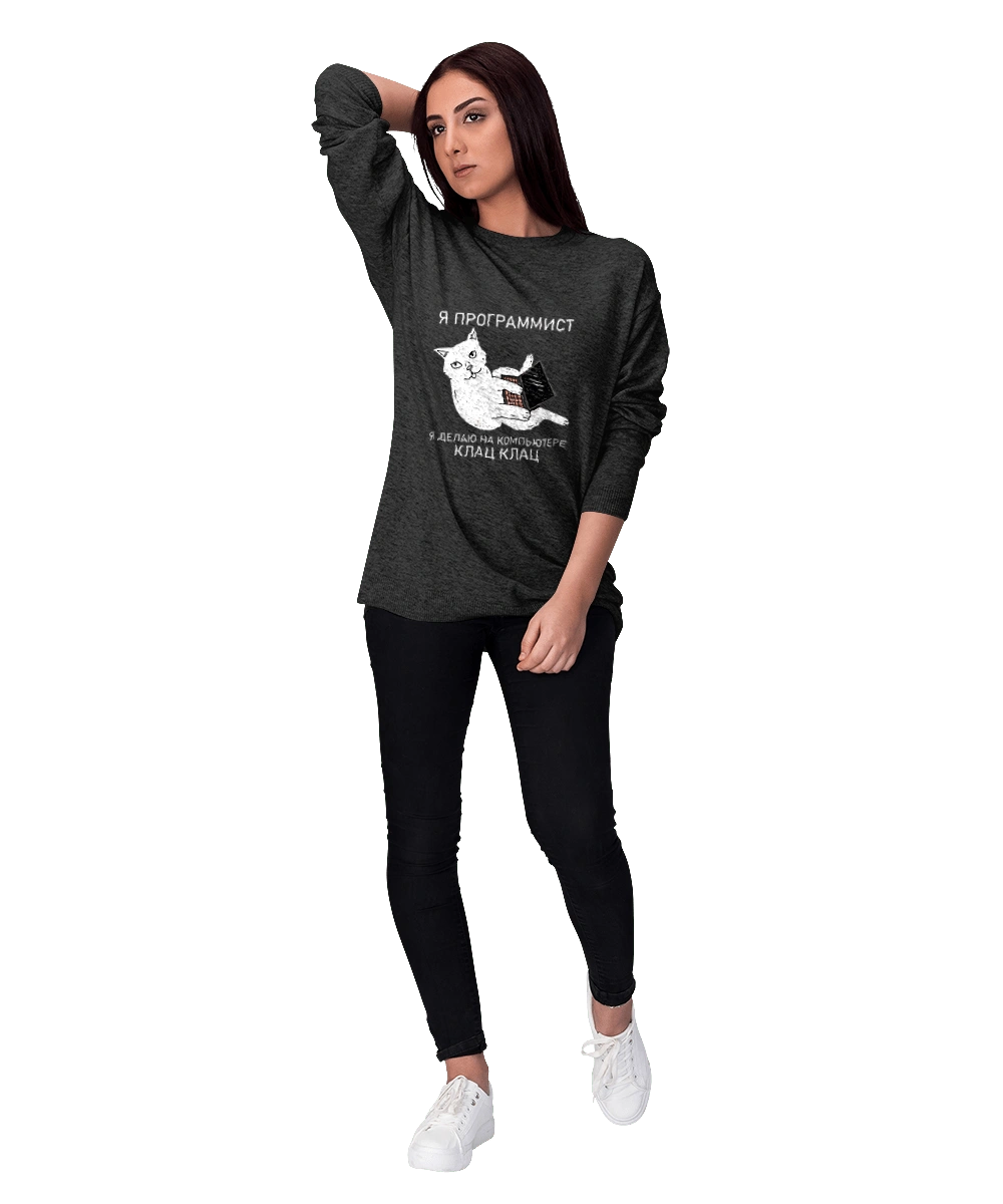 Кіт програміст