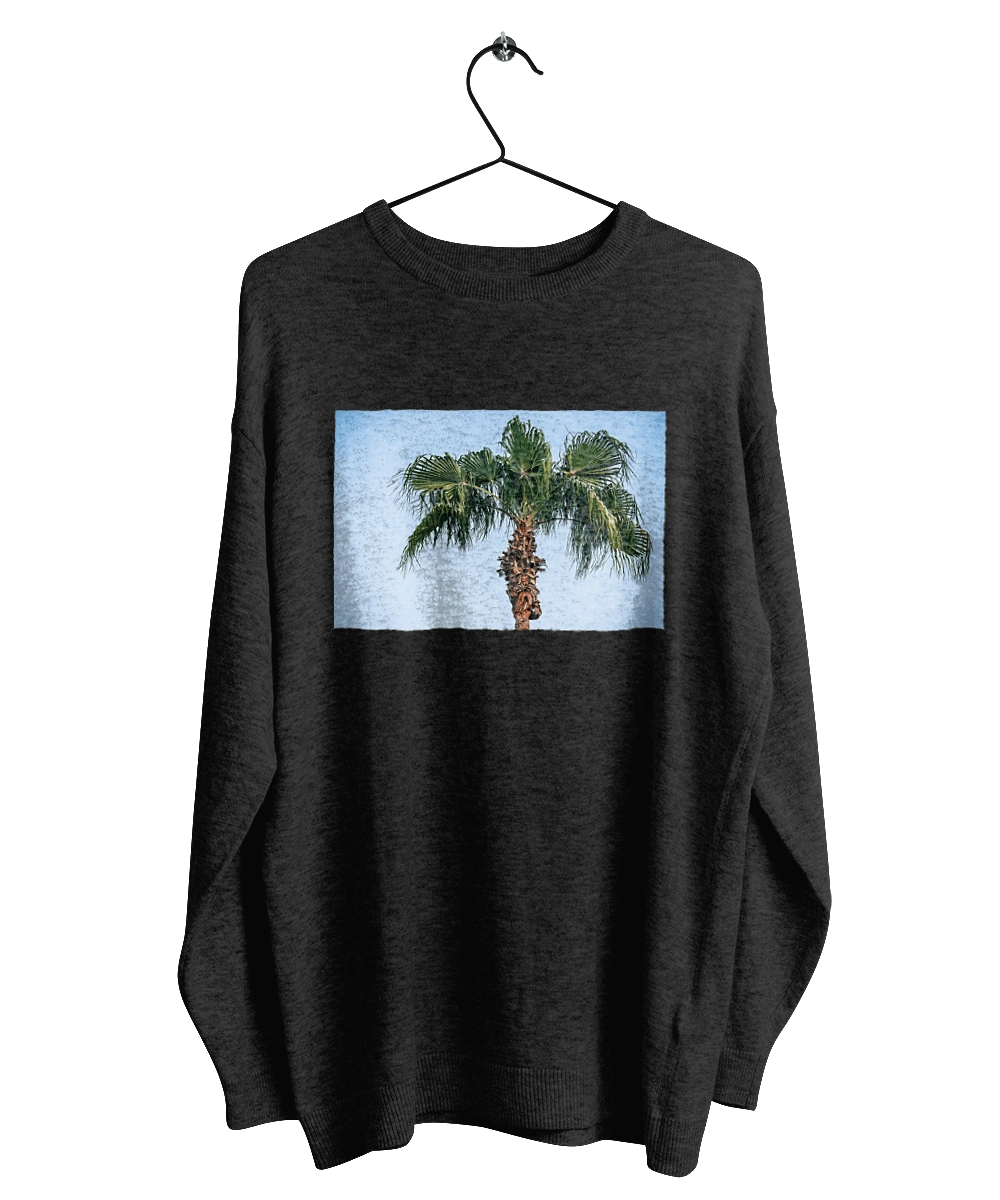 Palm tree against the sky