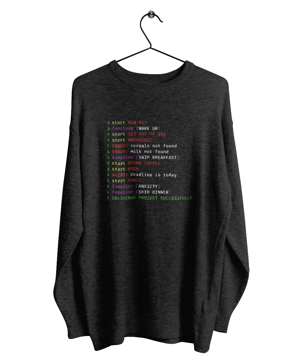 The life of a programmer