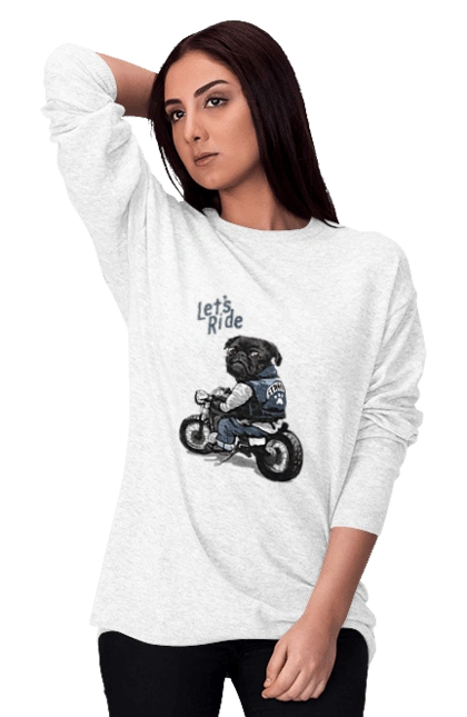 Мопс на мотоциклі