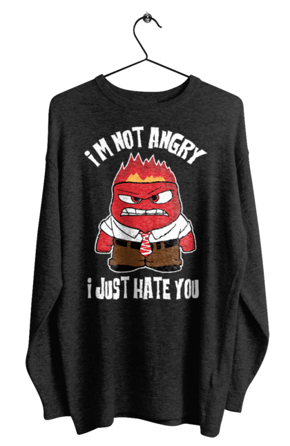 Men's sweatshirt with prints I`m not angry I just hate you. Anger, cool, funny, hate you, hatred, humor, i hate people, i just. CustomPrint.market