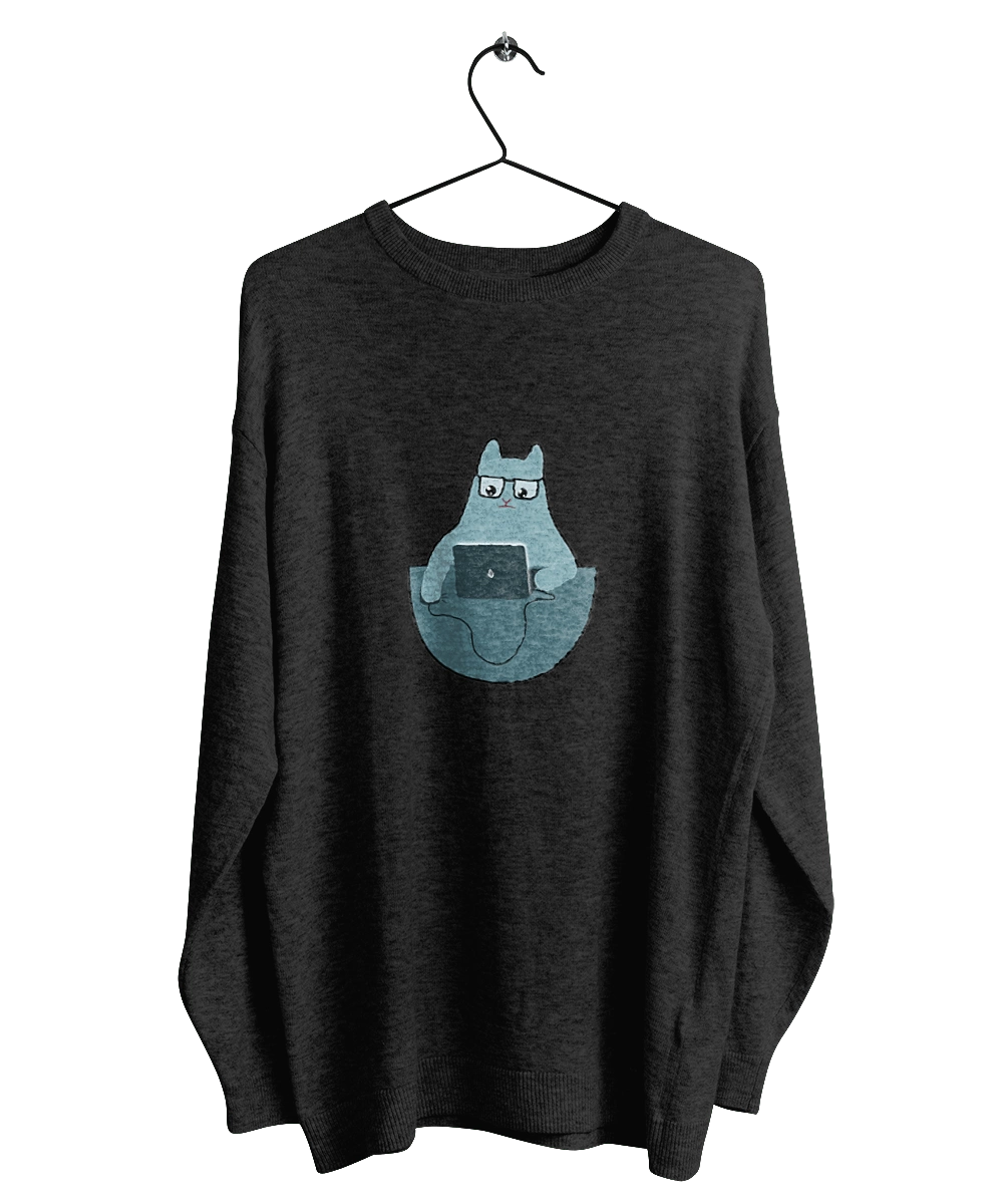 Кот программист