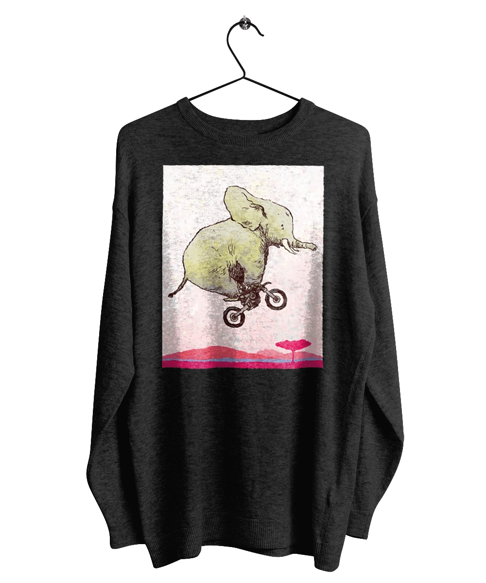 Elephant On A Motorcycle