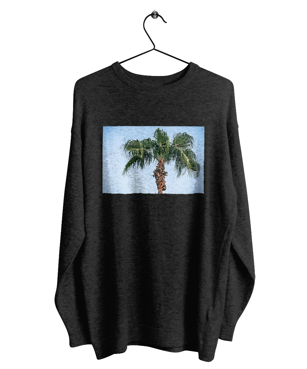 Пальма на тлі неба