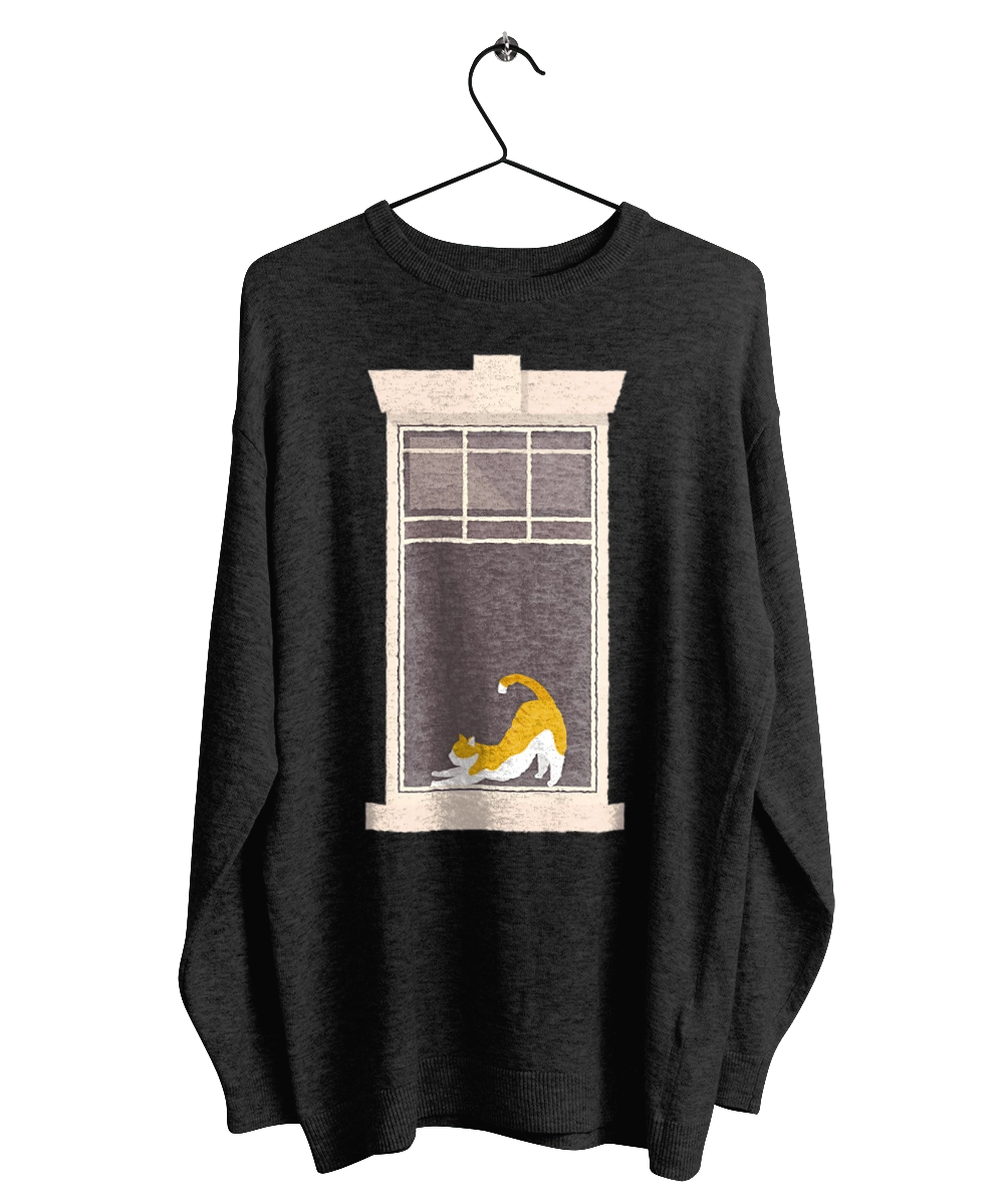 Кіт В Вікні