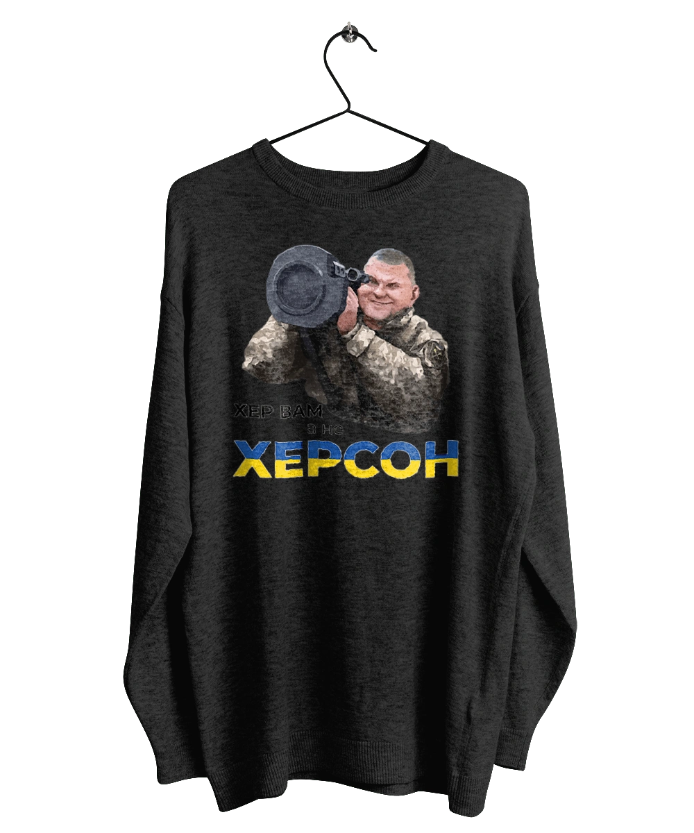 Залужний про Херсон