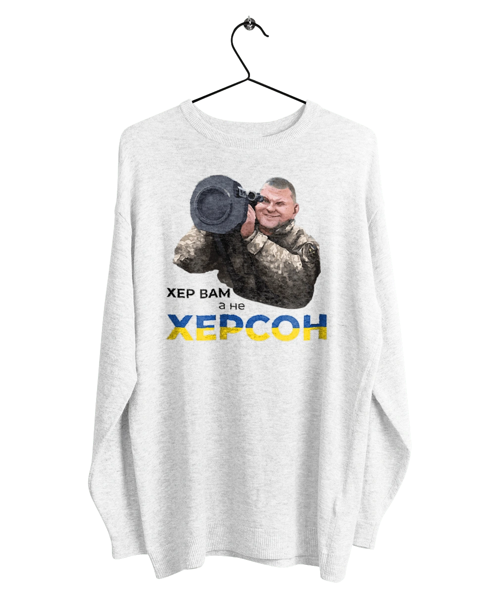 Залужний про Херсон