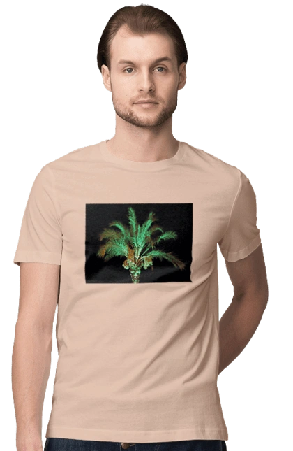 Фінікова Пальма Вночі