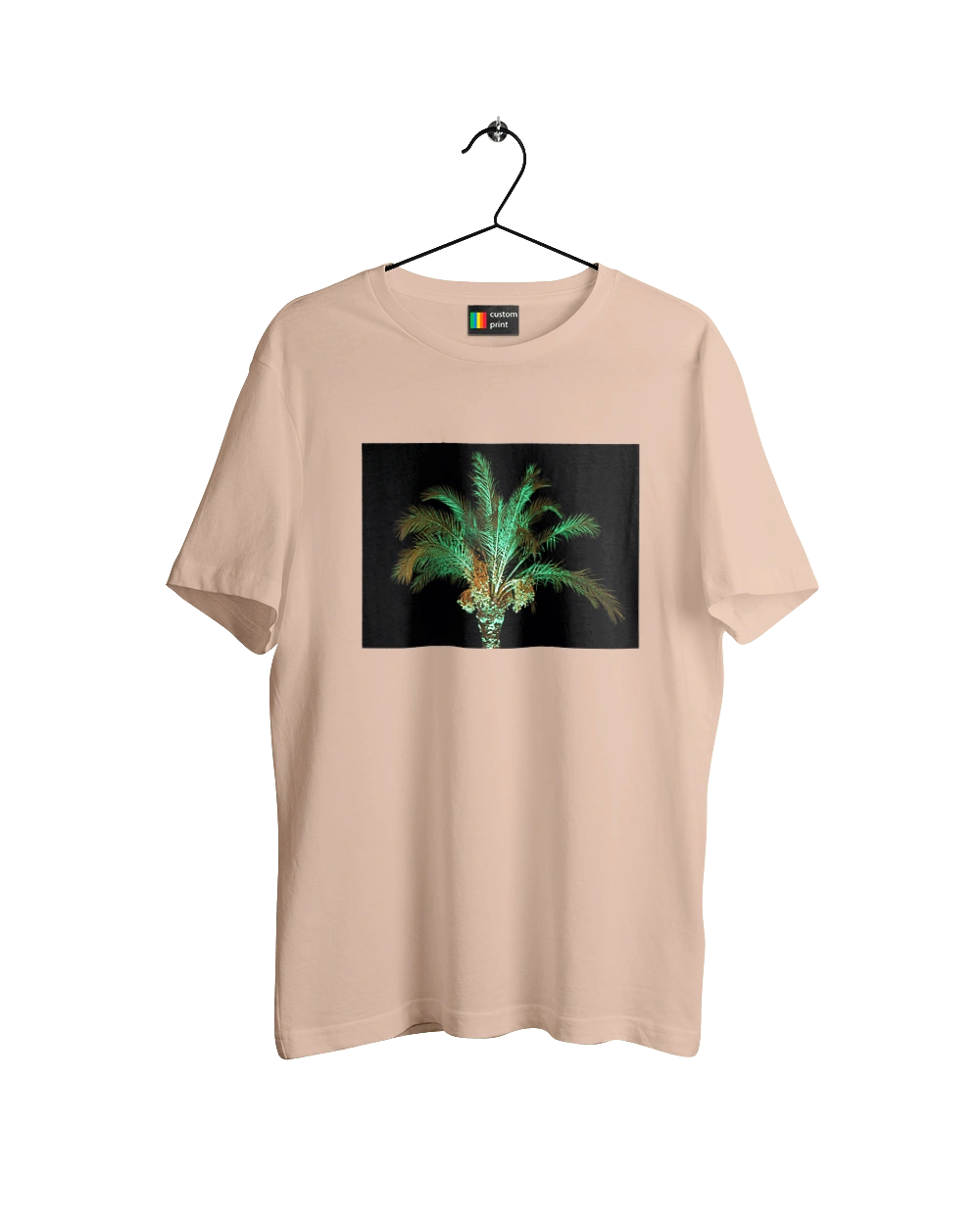 Фінікова Пальма Вночі