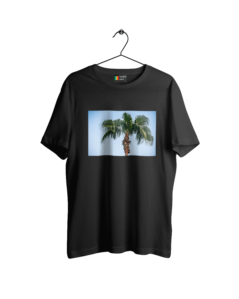 Пальма на фоне неба