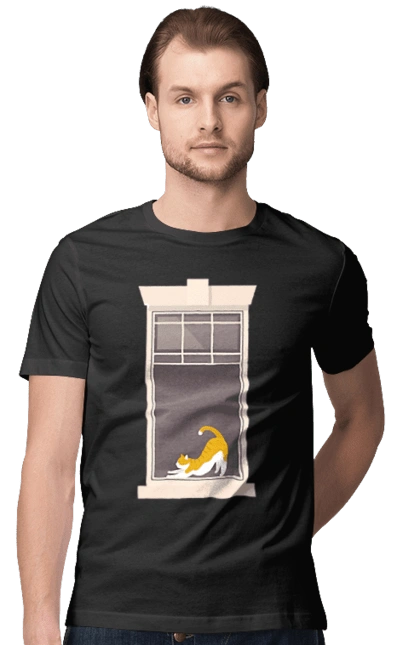 Кіт В Вікні