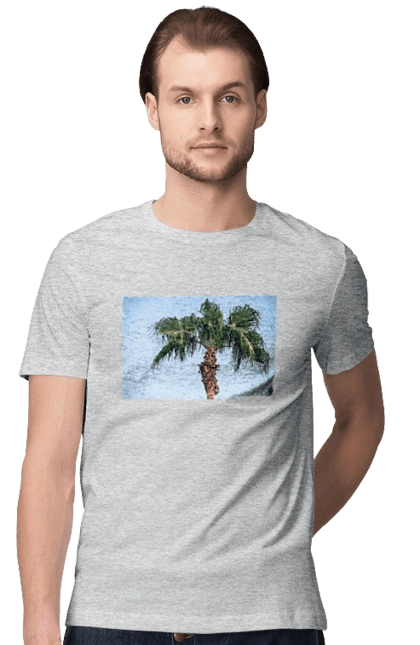 Пальма на тлі неба