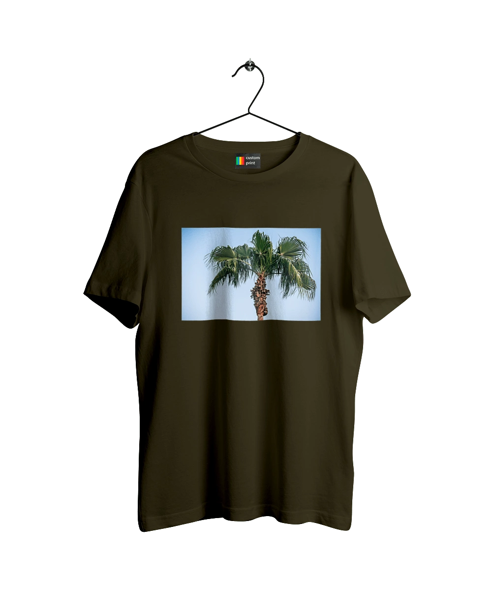 Пальма на тлі неба