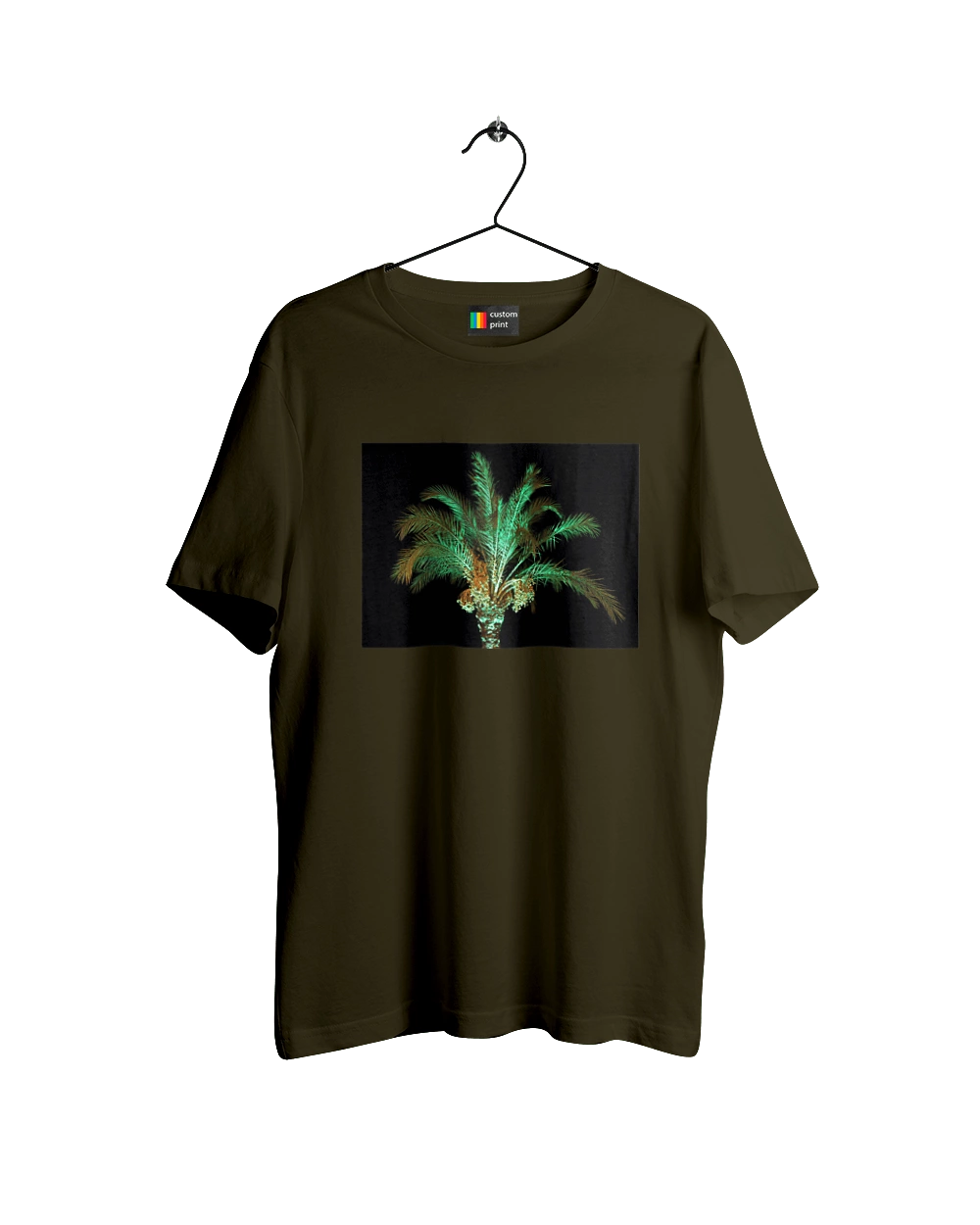 Фінікова Пальма Вночі