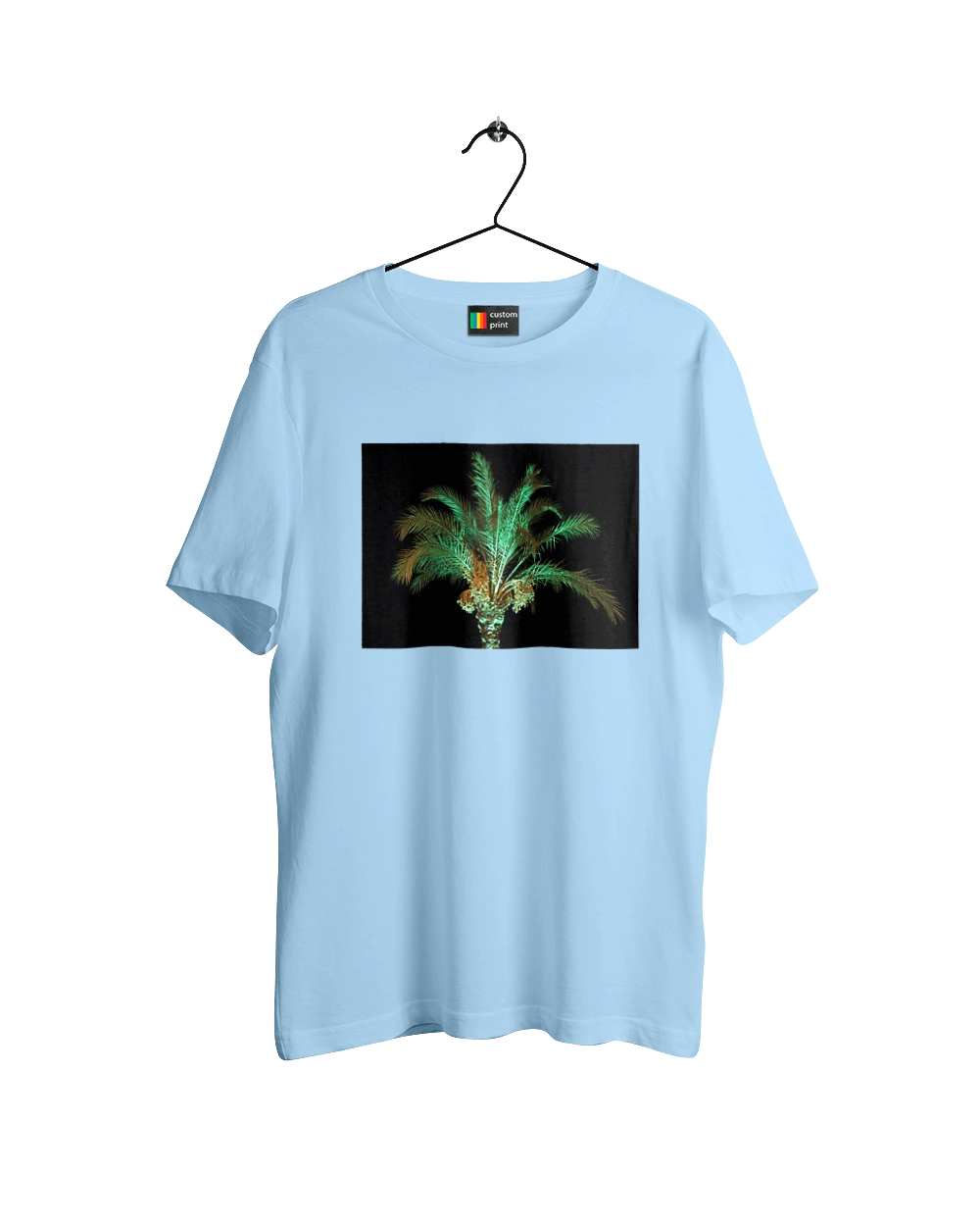 Фінікова Пальма Вночі