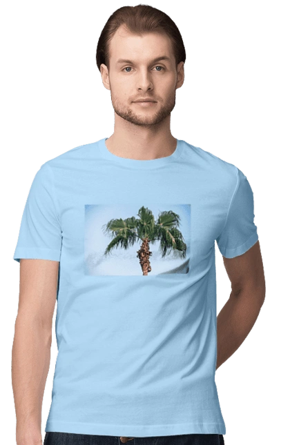 Palm tree against the sky