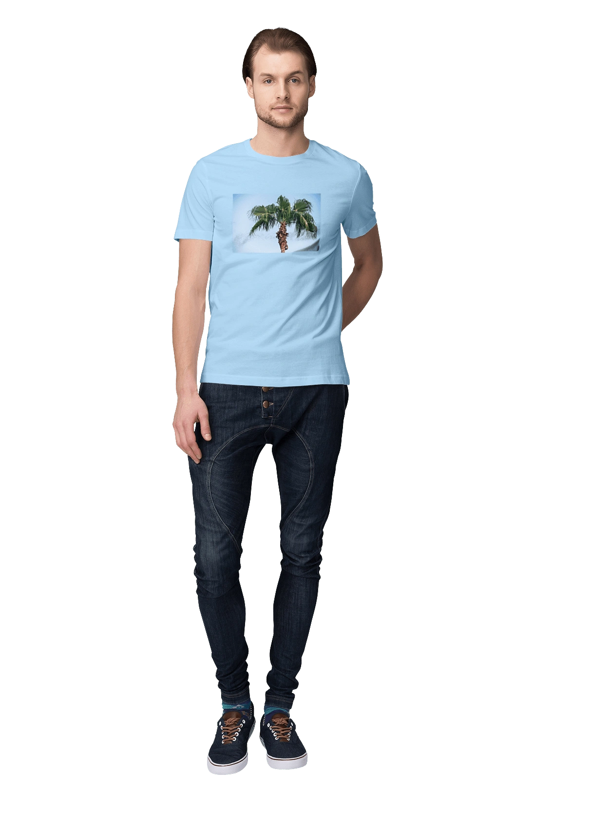 Palm tree against the sky