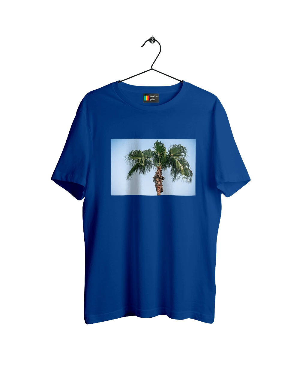 Пальма на тлі неба