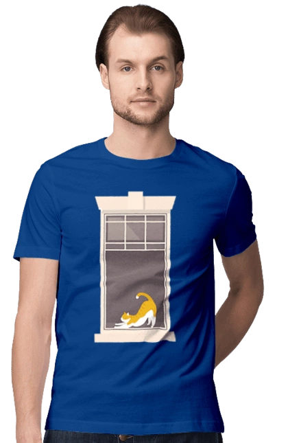 Кіт В Вікні