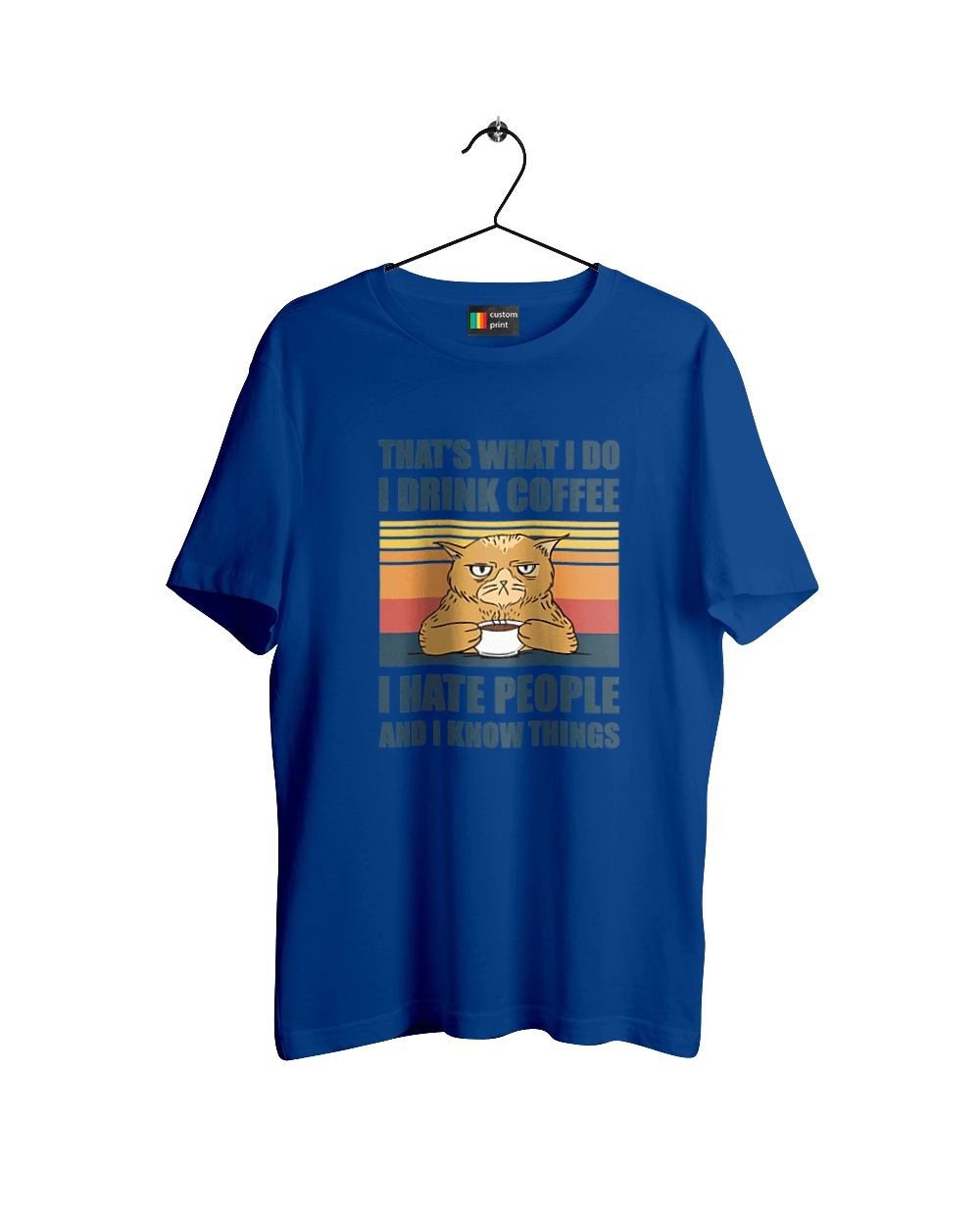 Невдоволений кіт