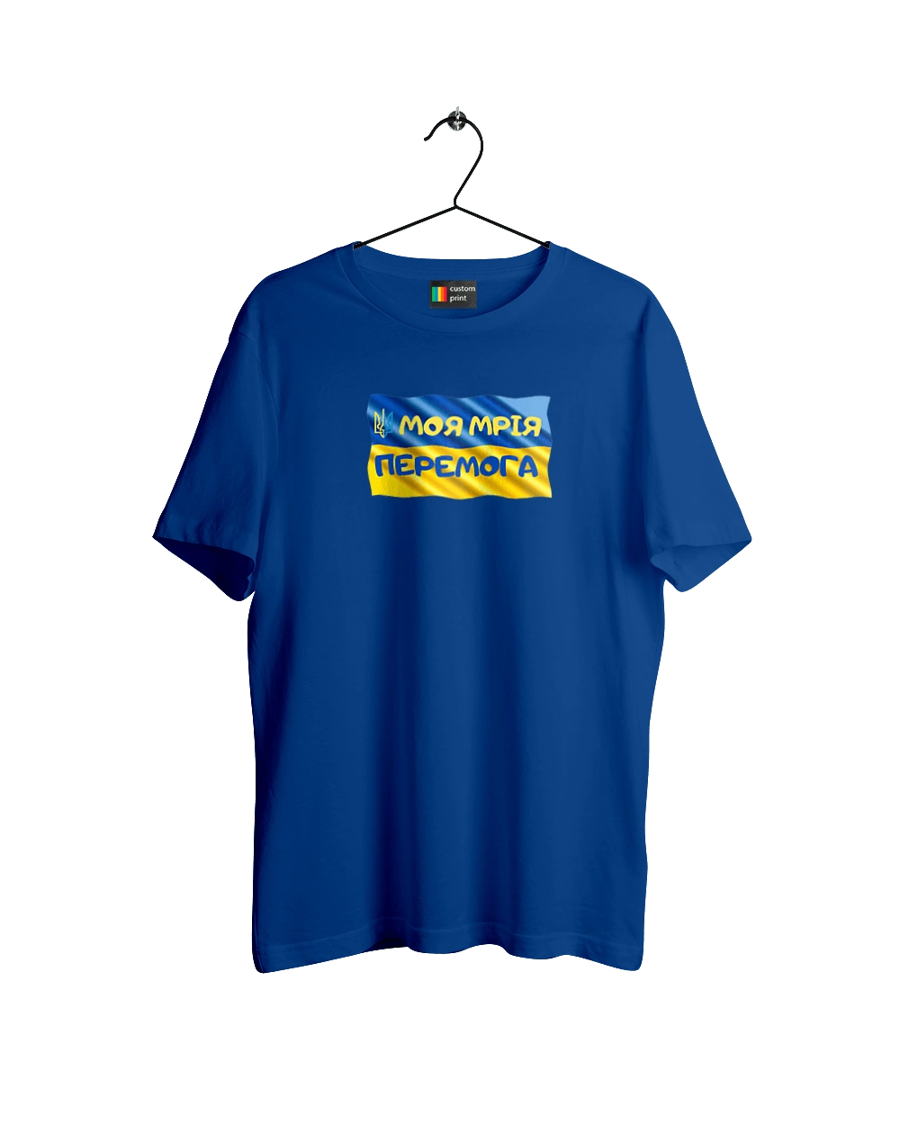 Моя мрія перемога. стяг України. герб України